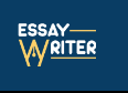 Essay writer