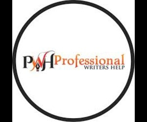 Professional writers help