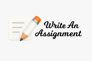 Write An Assignment